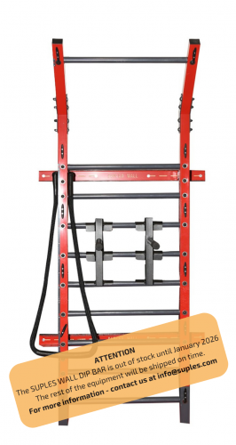 Package #3 Suples Wall *Steel, Dip Bar, & Heavy Jump Rope-AcCJe.png