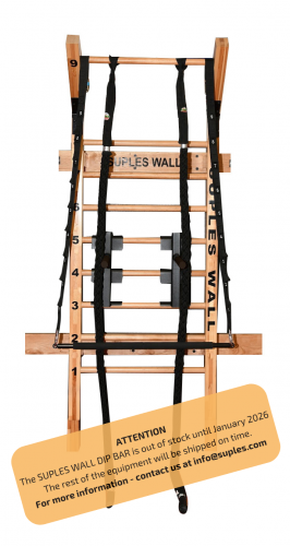Package #1 Suples Wall *Wood, Wall Bar, Dip Bar, & Wall Ropes-SMmCd.png