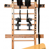 Package #2 Suples Wall *Wood, Friction Pulley, Dip Bar, & Wall Belts-TheMN.png
