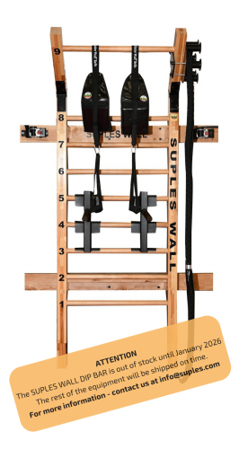 Package #2 Suples Wall *Wood, Friction Pulley, Dip Bar, & Wall Belts-TheMN.png