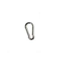 Small carabiner-qsgPB.jpeg