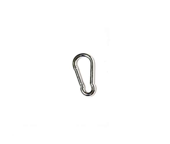 Small carabiner-qsgPB.jpeg