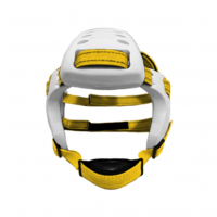 LDR EARGUARD XP 3 PIECE - White LDR with Gold straps-zA7uu.png